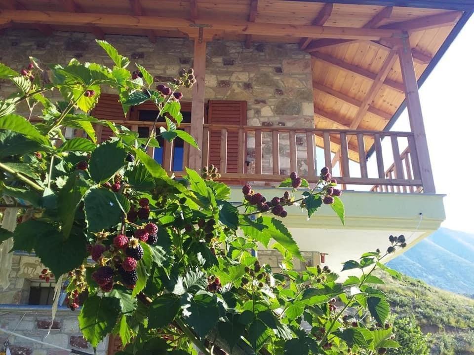Hostel Bujtina Hader Xhebro Tepelene Exteriér fotografie