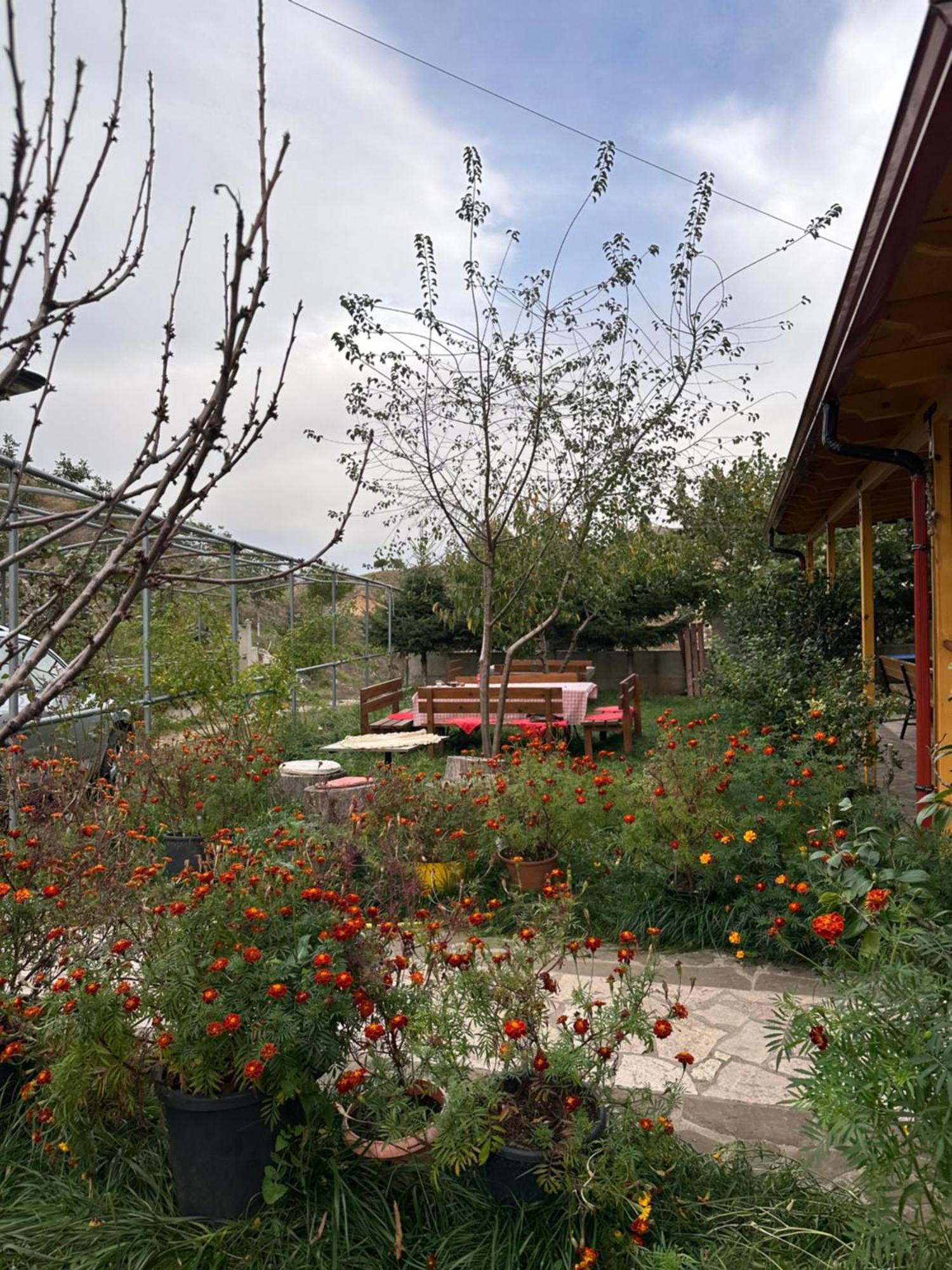 Hostel Bujtina Hader Xhebro Tepelene Exteriér fotografie
